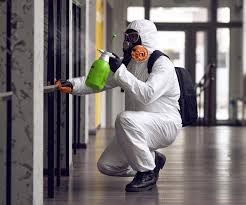 Best Environmental Consulting for Mold Prevention  in Arlington, TX